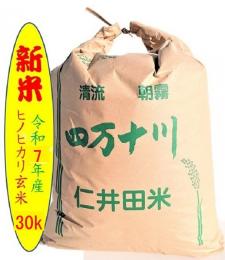 新米令和7年産 仁井田米 ヒノヒカリ玄米30kg