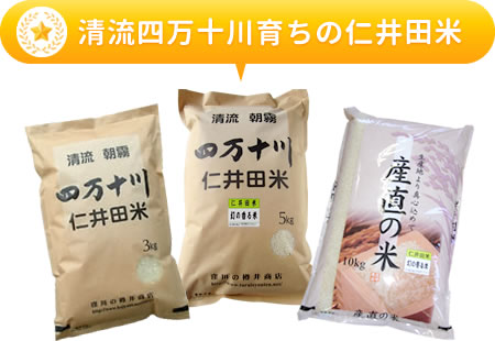 おいしい仁井田米(十和錦)のお店・樽井商店